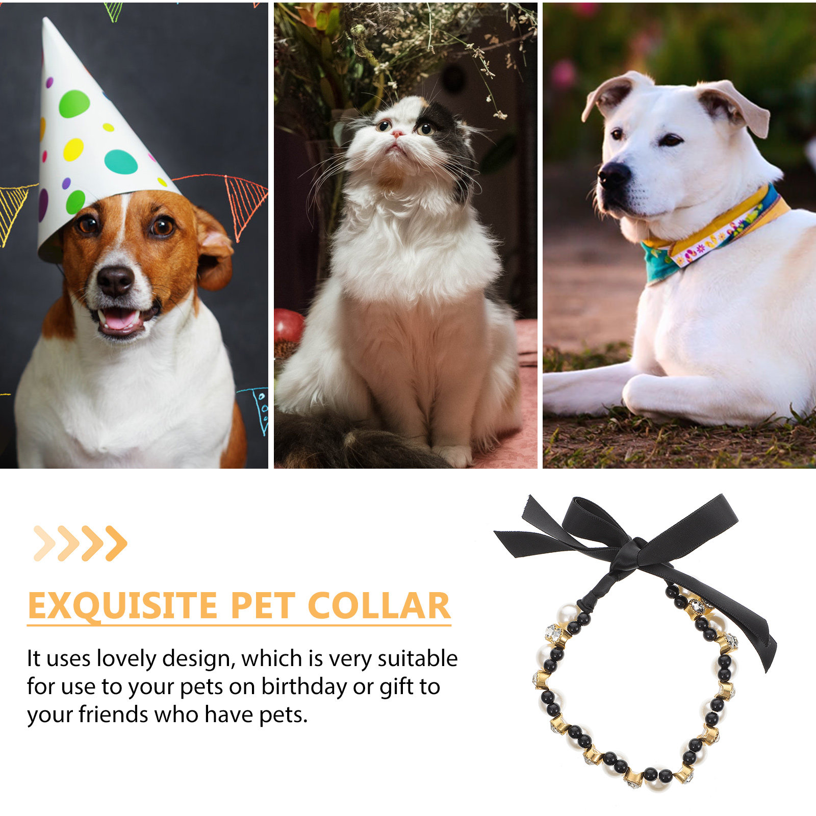 Premium Lightweight Dog Collar - Photography Competition ulasan dan harga